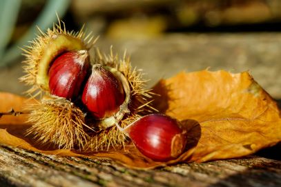 Tutti i benefici delle castagne