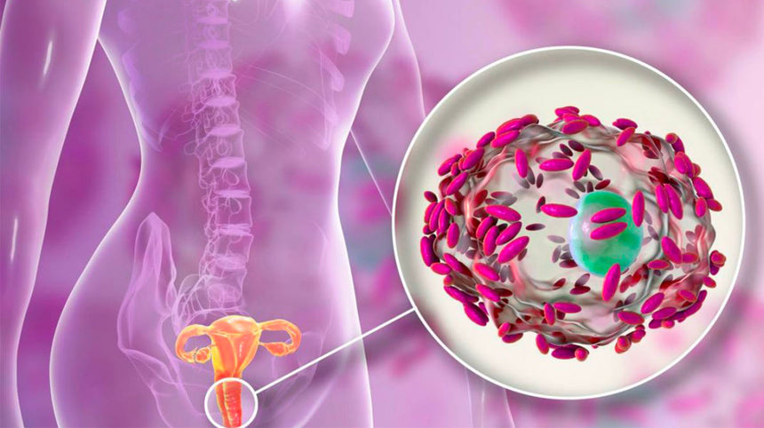 Microbiota intestinale e benessere femminile: c'è un legame?