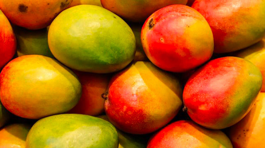 Mango: il superfrutto per la salute