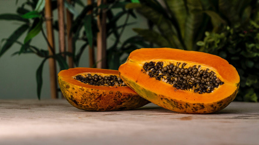 Papaya fermentata: i benefici contro lo stress ossidativo