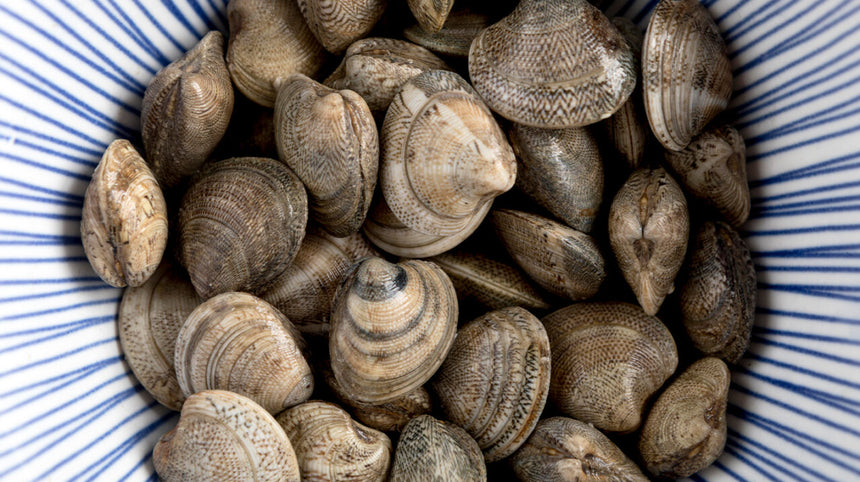 Salute e gusto in tavola con le vongole