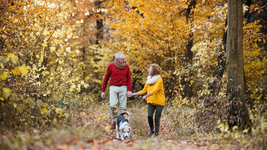 Osteoporosi: sintomi, cause e prevenzione